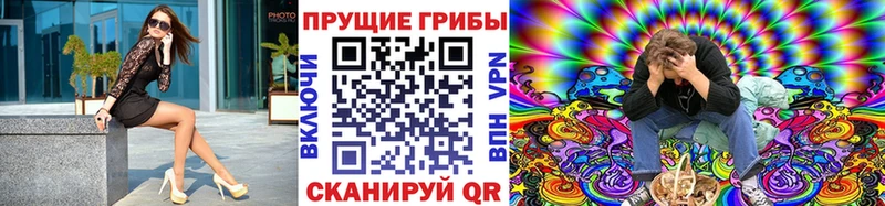 где продают Питкяранта Псилоцибиновые грибы MAGIC MUSHROOMS
